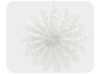 Picture of 3D Winter snowflake tissue fan