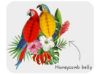 Picture of Parrot honeycombs set